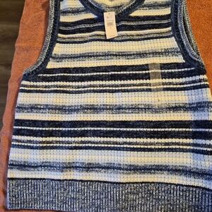 GAP Men's V-Neck Striped Sweater Vest - Blue and White